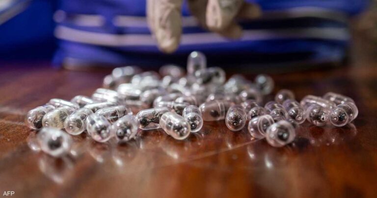 كينيا تحكم بالسجن والغرامة على رجل صيني لتهريبه آلاف النمل