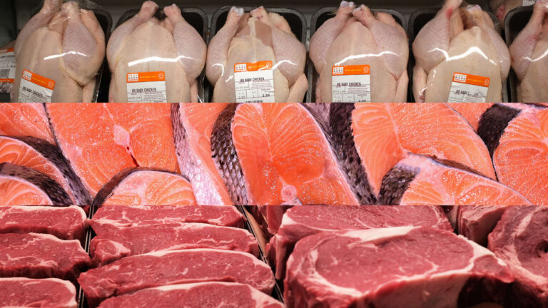 خبيرة تغذية تكشف الحقيقة وراء تأثير الأطعمة على حرق الدهون بالجسم