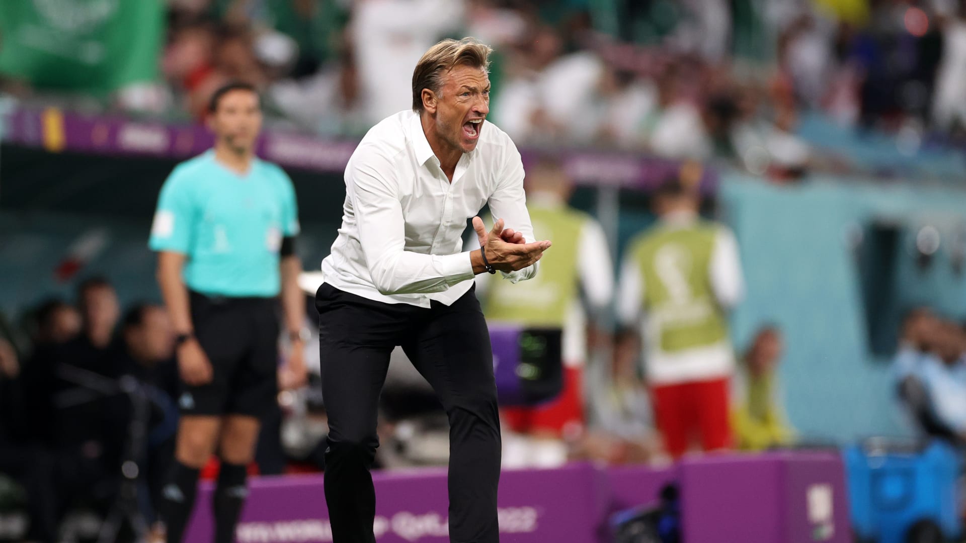 الاتحاد السعودي يقيل هيرفي رينارد من تدريب منتخب الأخضر