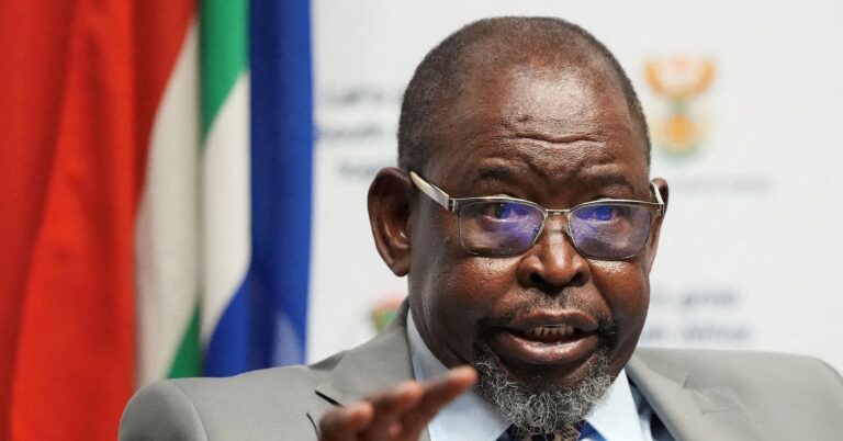 وزير مالية جنوب أفريقيا يؤكد عدم المشاركة في اجتماع مجموعة العشرين بواشنطن لعدم الحصول على الاعتماد