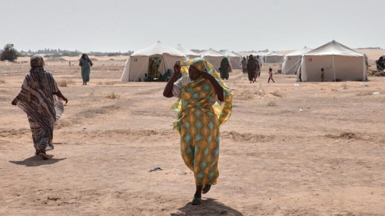 هند المدب: الحرب الأهلية تهدف لإجهاض حلم السودانيين بالحرية في فيلم “السودان يا غالي”