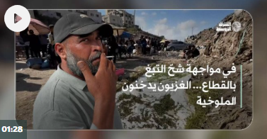 في مواجهة شحّ التبغ بالقطاع… الغزيون يدخنون الملوخية