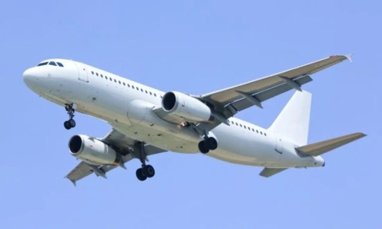 ولادة طفل في طائرة أمريكية تفتح نقاشاً حول قانون الجنسية عند الولادة في الأجواء