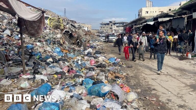 انتشار الفئران في مخيمات النازحين بغزة يعمّق الأزمات الإنسانية