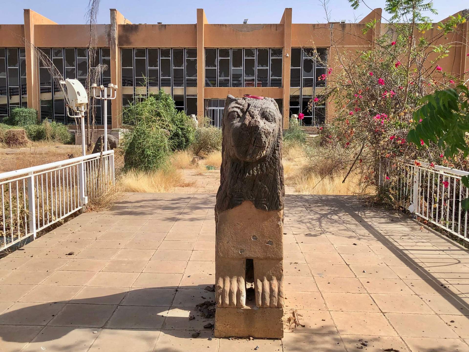 سودان الغنى المنهوب: كيف تغذي كنوز البلاد الحروب والفوضى؟