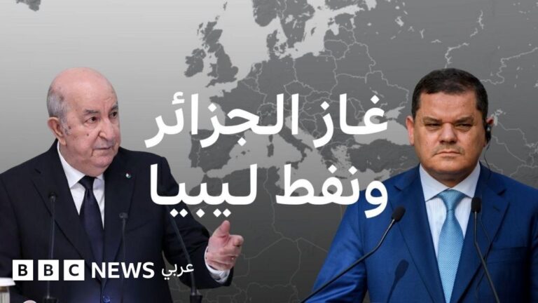 تداعيات أزمة مضيق هرمز تفتح فرصًا جديدة للجزائر وليبيا في أسواق الطاقة