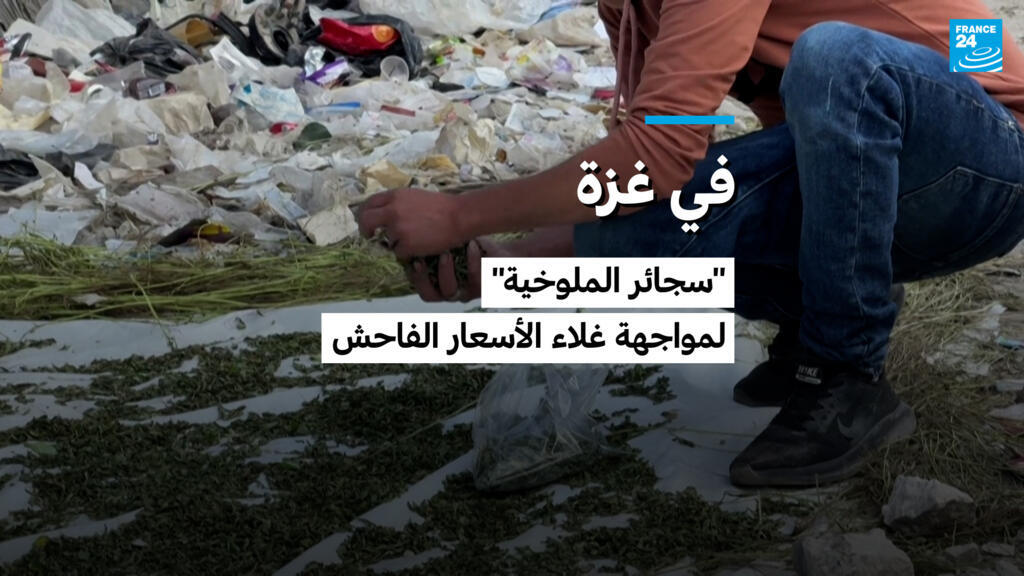 في غزة.. «سجائر الملوخية» البديلة لمواجهة غلاء السجائر التقليدية