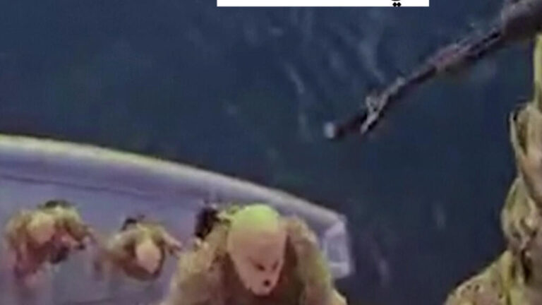 الحرس الثوري الإيراني ينشر صور احتجاز سفينتين في مضيق هرمز وسط توترات متصاعدة