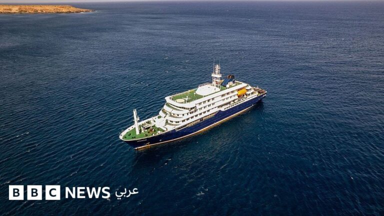 إجلاء عاجل لسفينة ركاب قرب جزر الكناري بعد تفشي فيروس هانتا