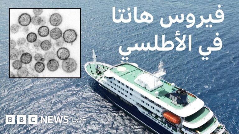 وفاة ثلاثة أشخاص بسبب تفشي فيروس هانتا على سفينة سياحية في المحيط الأطلسي