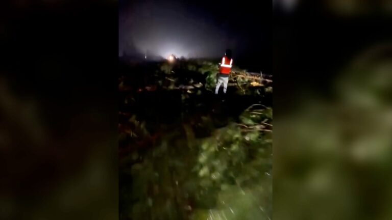 إعصار قوي يتسبب في إغلاق أجزاء من الطريق السريع في ميسيسيبي بسبب سقوط الأشجار