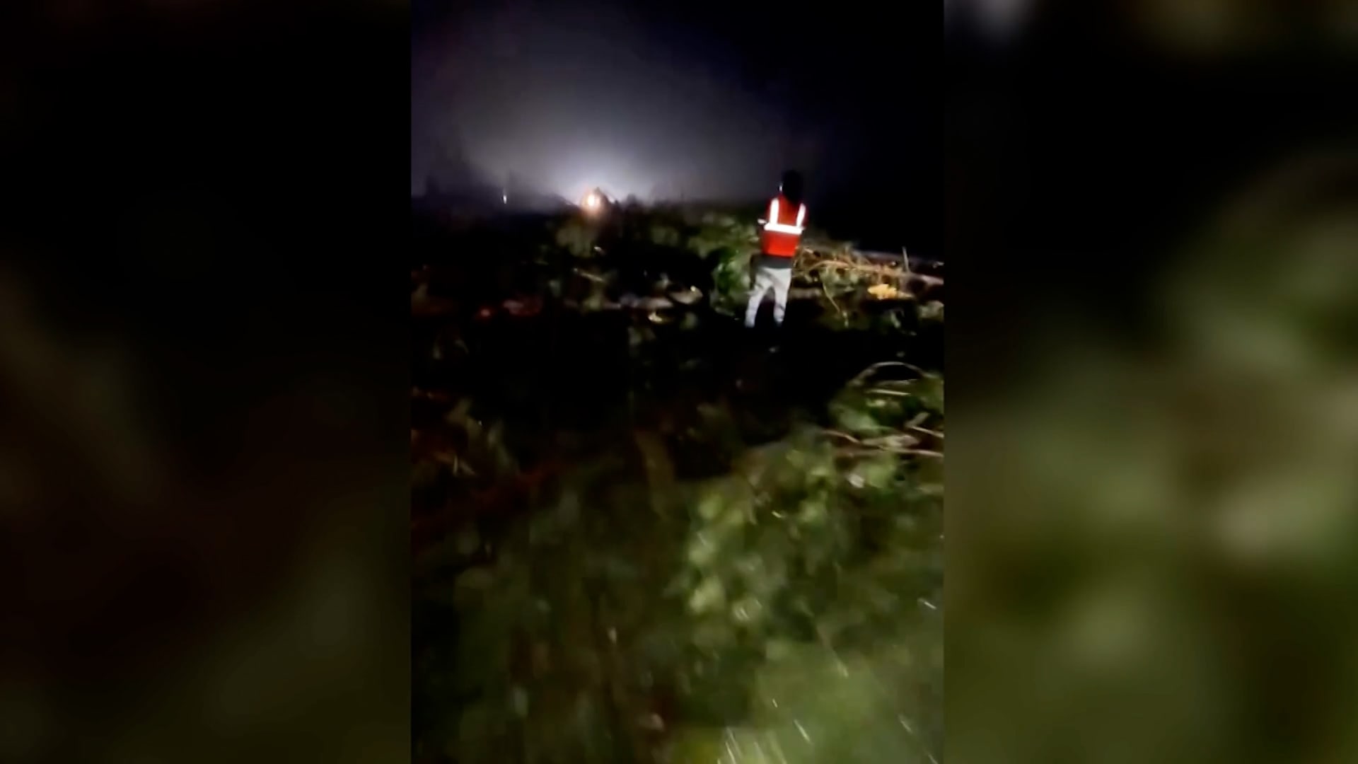 إعصار قوي يتسبب في إغلاق أجزاء من الطريق السريع في ميسيسيبي بسبب سقوط الأشجار