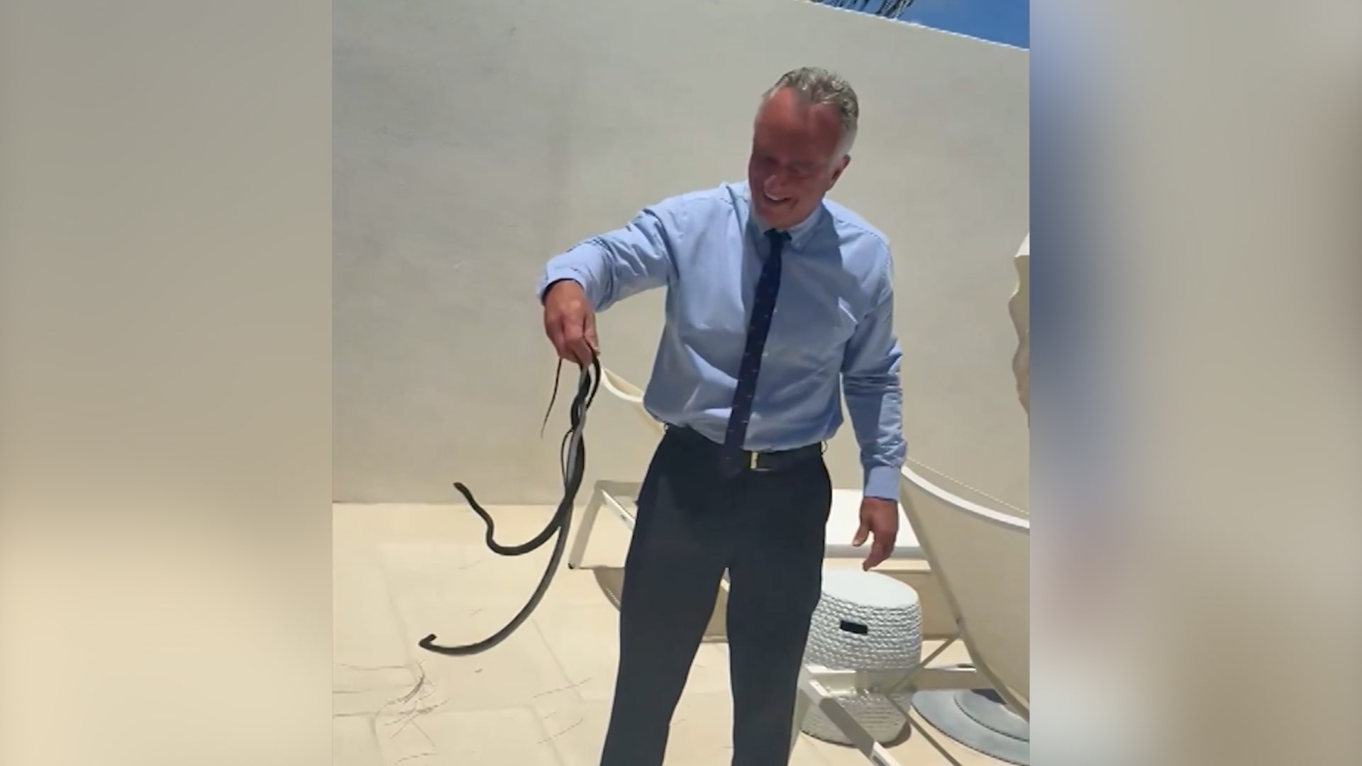 وزير الصحة الأمريكي روبرت كينيدي جونيور ينشر فيديو يحمل فيه ثعبانين بيديه العاريتين