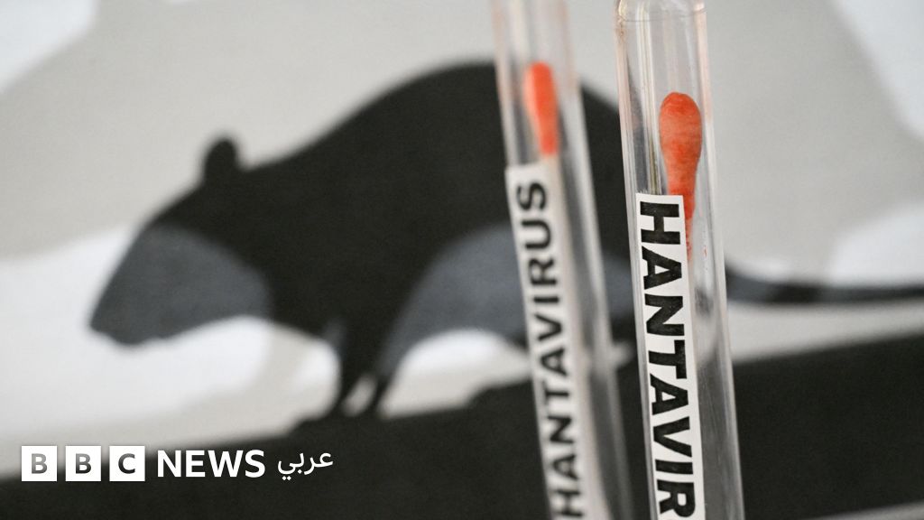 فيروس هانتا يثير قلقاً صحياً على متن سفينة سياحية في الأطلسي