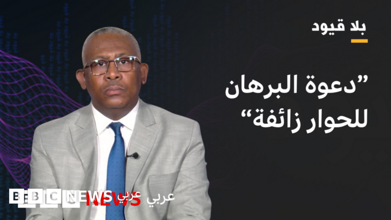 بابكر فيصل: البرهان يحاول إضفاء الشرعية على حكم الجيش وتدخلات خارجية تزيد تعقيد الأزمة السودانية