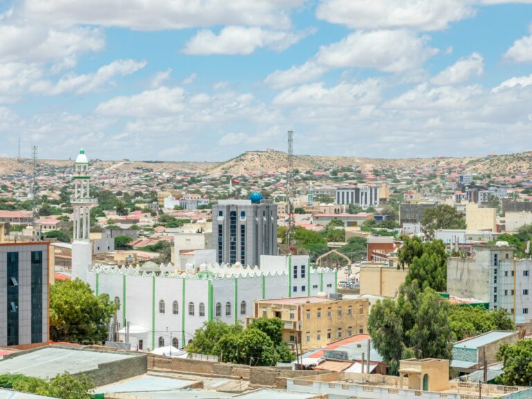 أرض الصومال تتحول إلى ساحة تنافس إقليمي متصاعد في القرن الإفريقي