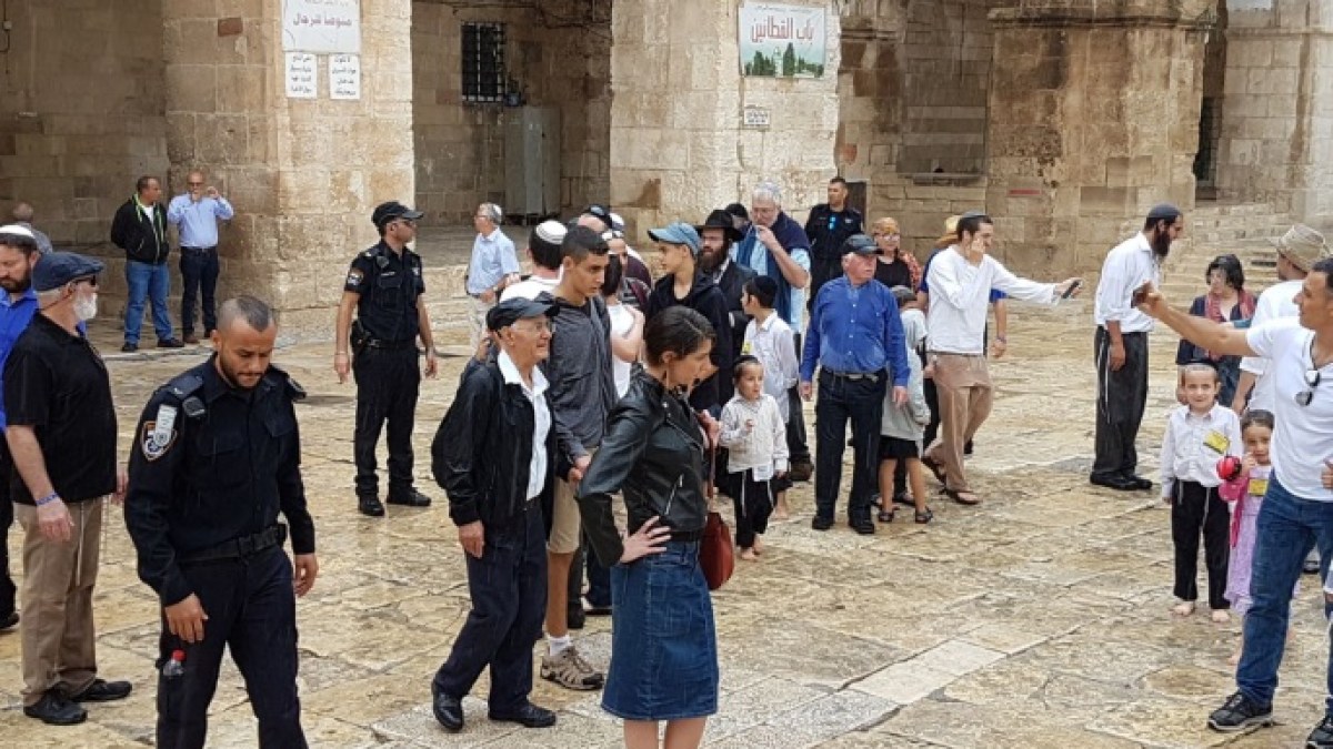 اقتحام عشرات المستوطنين المسجد الأقصى وإبعاد مُسنة يُثير غضب الفلسطينيين