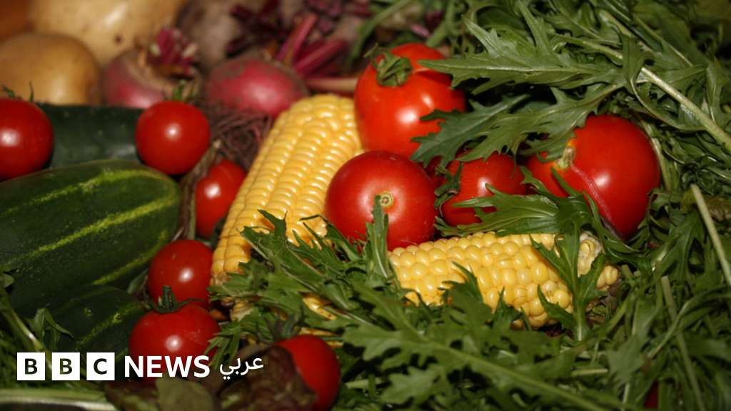 الحكومة المصرية تحظر نظام “خرافة الطيبات” الغذائي بعد تدهور صحة مرضى
