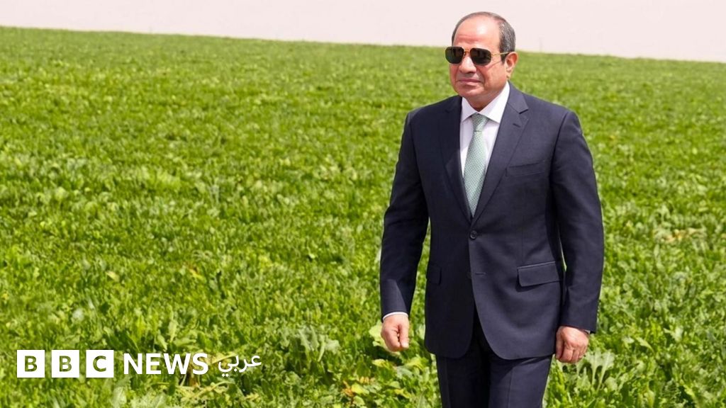 مشروع الدلتا الجديدة في مصر: طموحات كبيرة وتحديات لتحقيق الاكتفاء الزراعي