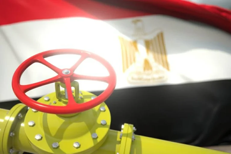 مسؤول مصري: فاتورة استيراد الوقود والغاز المسال ترتفع إلى 30 مليار دولار في 2026