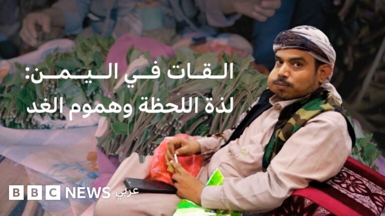تأثير القات في اليمن: بين العادات والتحديات الاقتصادية والاجتماعية