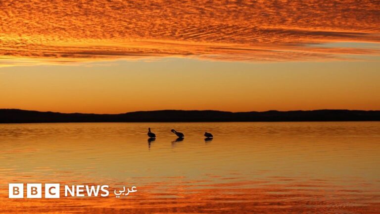الفوائد الصحية والنفسية لمشاهدة غروب الشمس