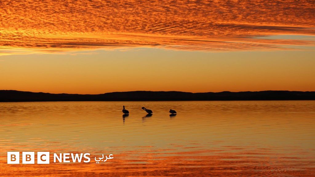 الفوائد الصحية والنفسية لمشاهدة غروب الشمس