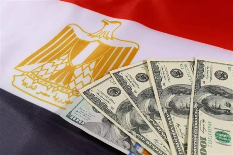 تحويلات المصريين بالخارج ترتفع إلى 43.1 مليار دولار خلال 11 شهراً