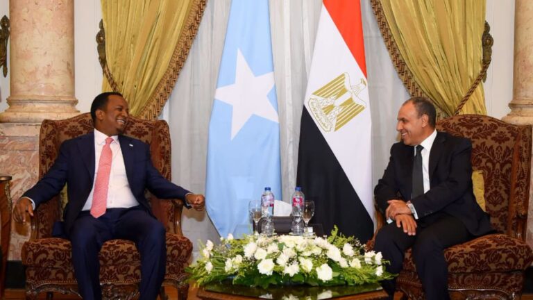 وزير الخارجية المصري يدعو للإسراع بالإفراج عن البحارة المختطفين قبالة السواحل الصومالية