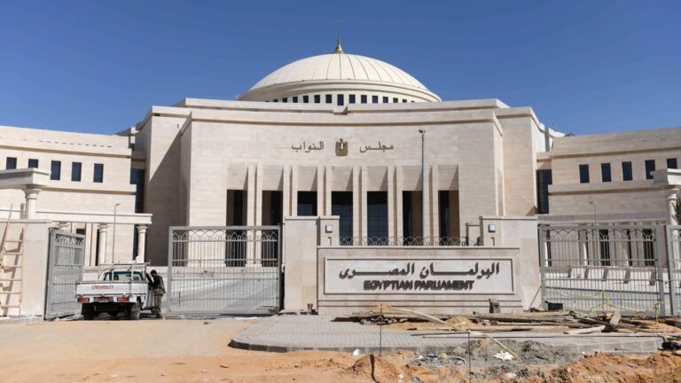 جدل برلماني وفني بمصر حول تفعيل حق الأداء العلني للفنانين