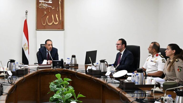 مصر تعلن خطة جديدة لمواجهة ظاهرة الكلاب الضالة وحماية الصحة العامة