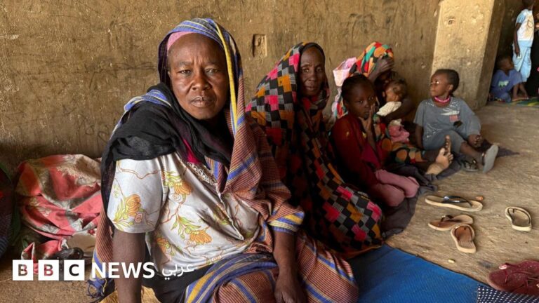 منظمة العفو الدولية تتهم قوات الدعم السريع السودانية بجرائم تطهير عرقي في الفاشر وتدعو لنشر قوة حماية أممية