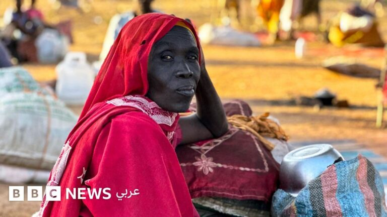 المحكمة الجنائية الدولية تكشف تقدمًا في تحقيق جرائم الحرب في دارفور السودان