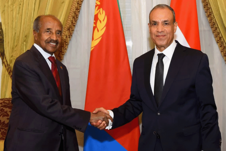 مصر تقود وساطة أفريقية أميركية وتنسق بشأن الأمن في البحر الأحمر والسودان