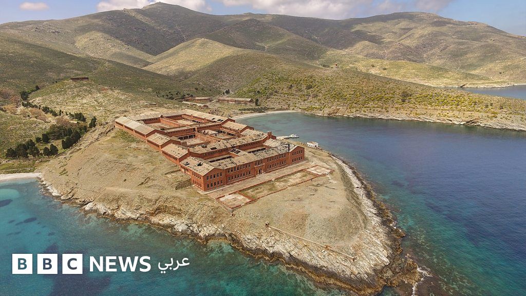 جزيرة ياروس اليونانية: من سجن مظلم إلى ملاذ نادر لفقمات البحر المتوسط