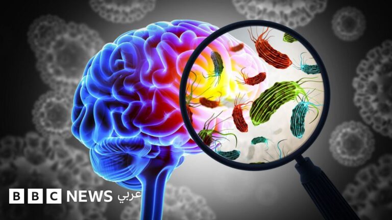 الأميبا الآكلة للدماغ: خطر متزايد مع ارتفاع حرارة المياه وتوسع انتشارها عالميًا