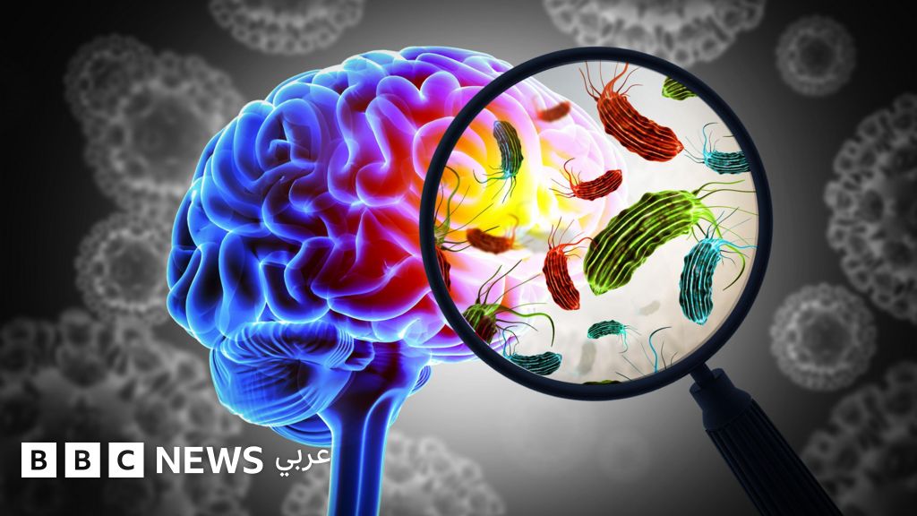 الأميبا الآكلة للدماغ: خطر متزايد مع ارتفاع حرارة المياه وتوسع انتشارها عالميًا