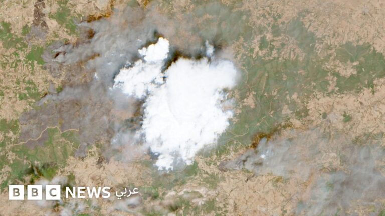 حرائق الغابات في الجزائر: استمرار الجهود لإخماد الحرائق وتوقيف أربعة مشتبهين بإضرام النار