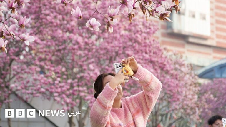 دراسات صحية تكشف مخاطر المُحليات واستخدام الذكاء الاصطناعي في الكشف المبكر عن أمراض القلب وأهمية العودة إلى الطبيعة
