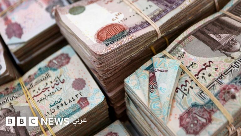 الهيئة العامة للرقابة المالية تكشف تمويلات استهلاكية بقروض تعليمية باستخدام بيانات أولياء الأمور في مصر