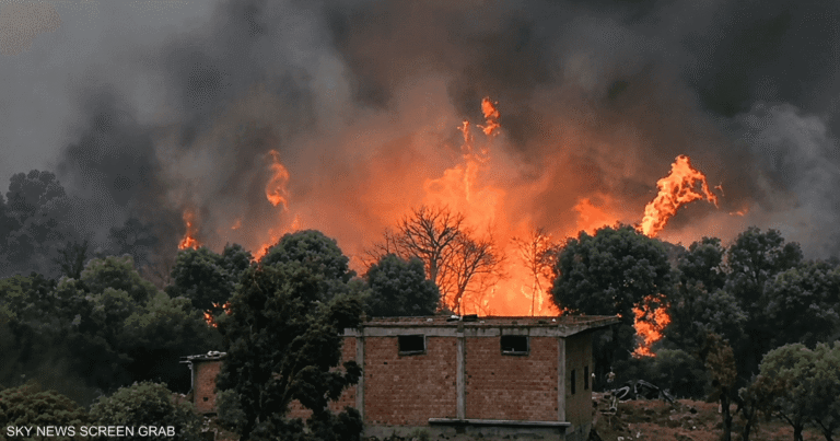 حرائق الغابات في الجزائر تسفر عن 12 قتيلًا وإصابة 54 بجروح وسط موجة حر شديدة