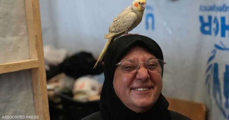 ملعب كرة السلة يتحول إلى مأوى و”قرية” للنازحين في صور جنوب لبنان