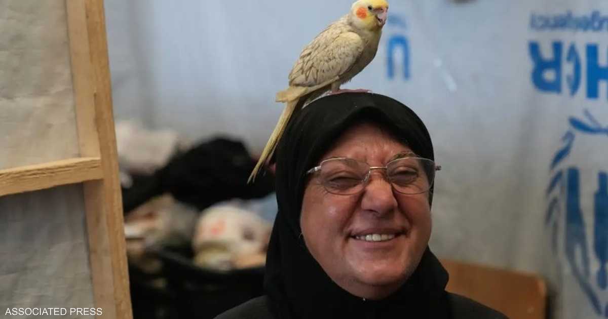 ملعب كرة السلة يتحول إلى مأوى و”قرية” للنازحين في صور جنوب لبنان