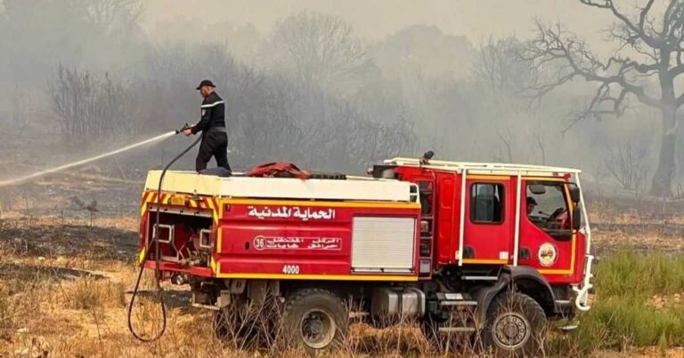 الجزائر تخمد 110 حرائق من أصل 174 خلال 24 ساعة مع استمرار أخرى في عدة ولايات
