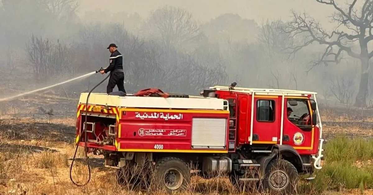 الجزائر تخمد 110 حرائق من أصل 174 خلال 24 ساعة مع استمرار أخرى في عدة ولايات