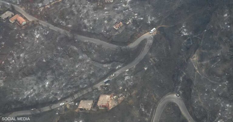 صور جوية تكشف حجم الدمار الهائل لغابات ولاية جيجل بعد حرائق الجزائر