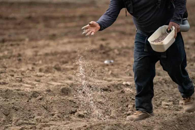 شركات الأسمدة المصرية تحقق مكاسب مليارّية بفضل أزمة الشرق الأوسط وزيادة الصادرات