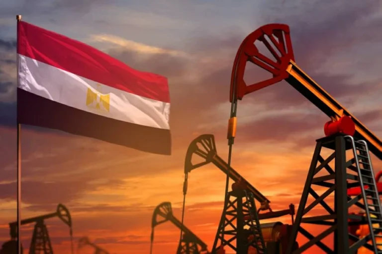 وزير البترول المصري: الحرب ترفع تكلفة شحنة الغاز إلى 80 مليون دولار وتضاعف ضغط الفاتورة الطاقية
