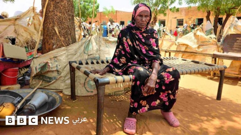 السودان: آلاف النازحين بلا ملاذ آمن مع تقدم قوات الدعم السريع نحو مدينة الأبيض
