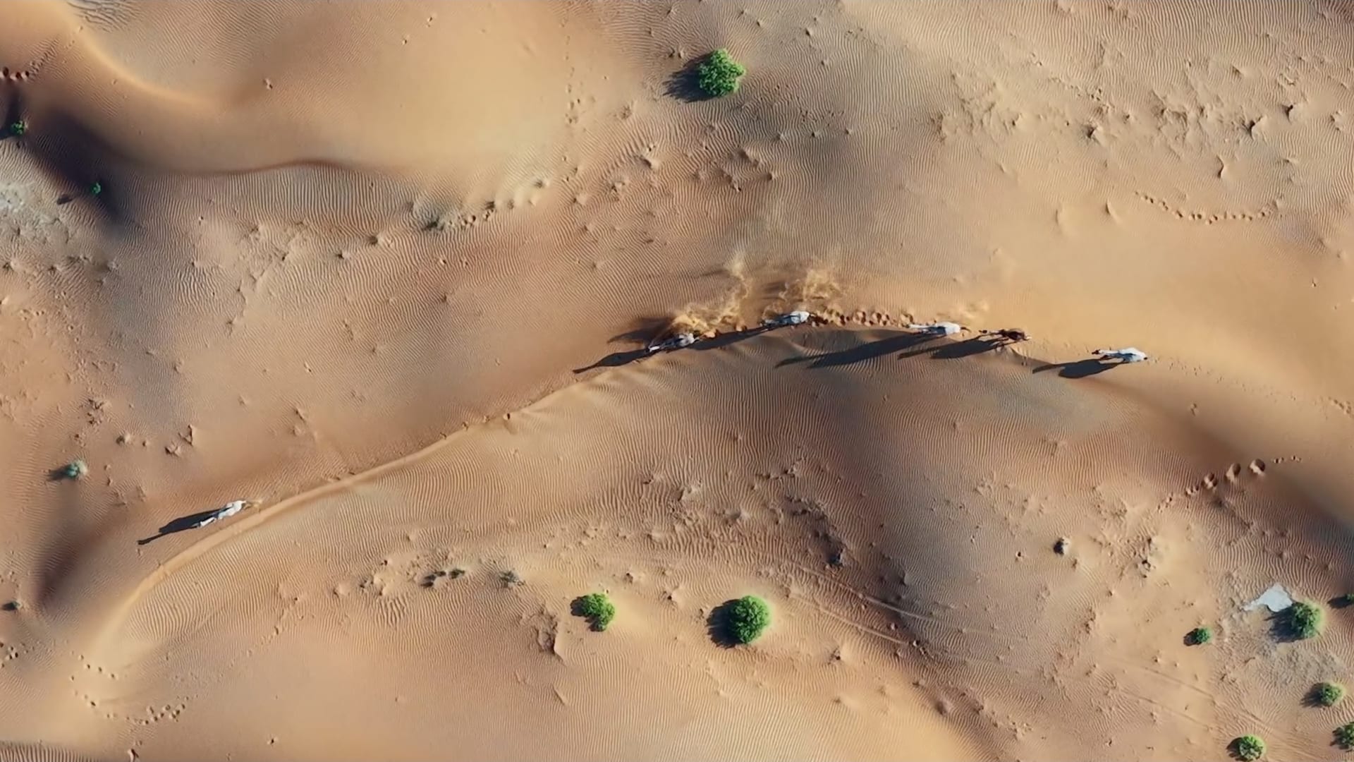 ما هي الأجسام المتحركة في قلب صحراء الربع الخالي التي تشبه السيارات؟